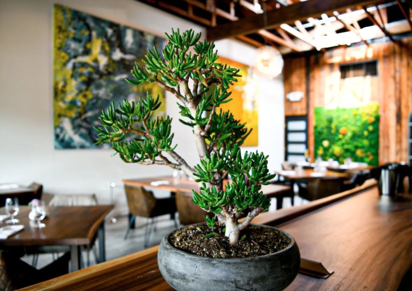 Carte Blanche Dallas Members and their guests receive a complimentary